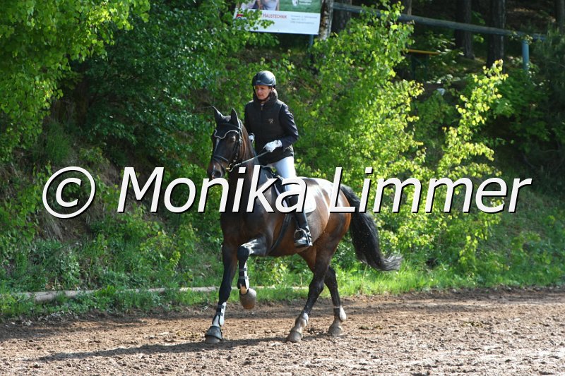 104M7861_Spring A.JPG